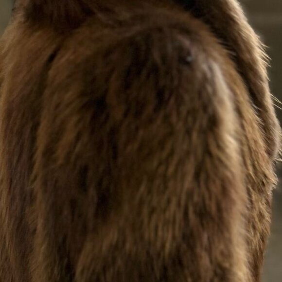 Long haired BEAVER originally 5000 now only 995 size M/L - Picture 4 of 5